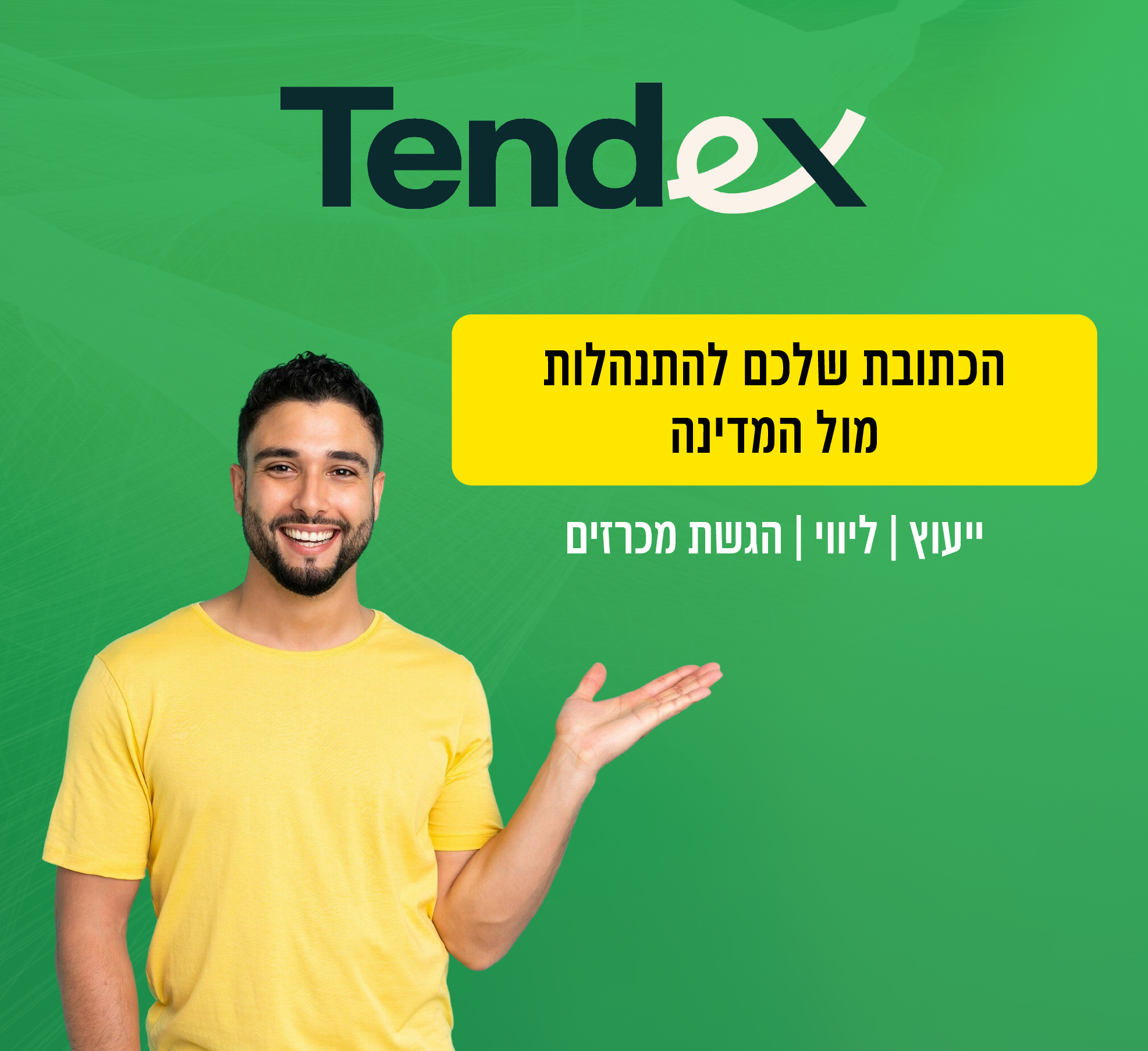 מסכים טנדקס-08